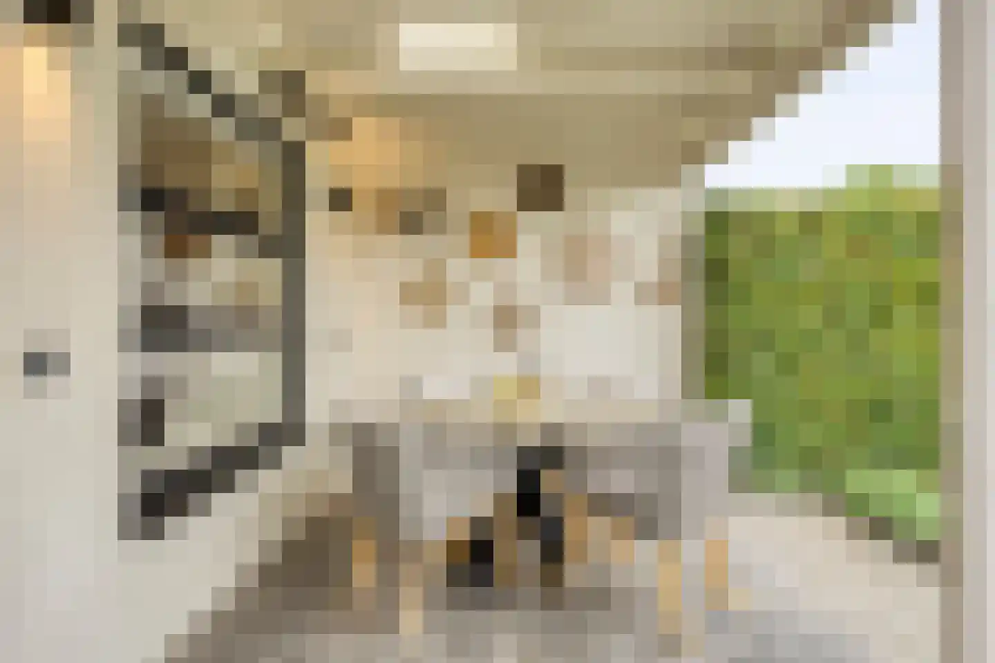 Junoplein 6 Bemmel thumbnail 37