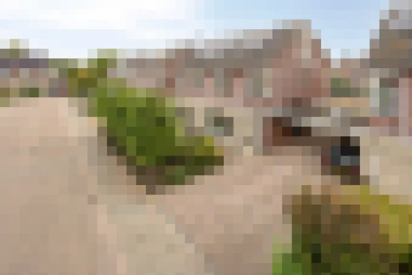 Junoplein 6 Bemmel thumbnail 4