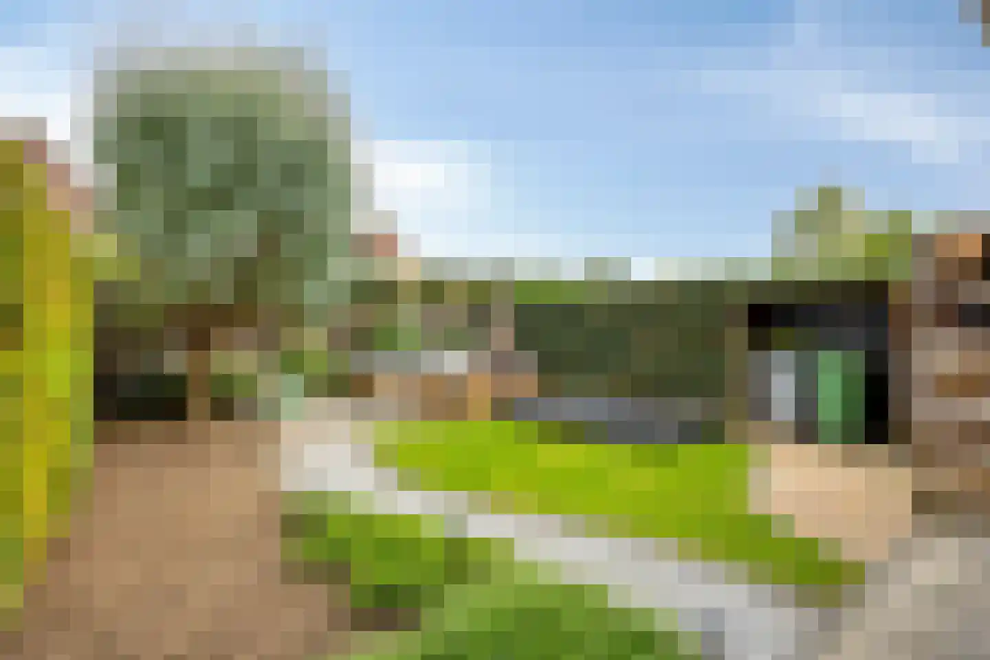 Junoplein 6 Bemmel thumbnail 42