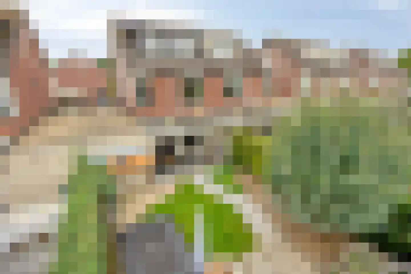 Junoplein 6 Bemmel thumbnail 45