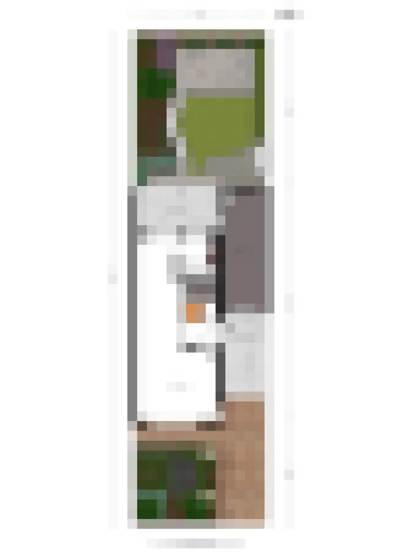 Junoplein 6 Bemmel thumbnail 46