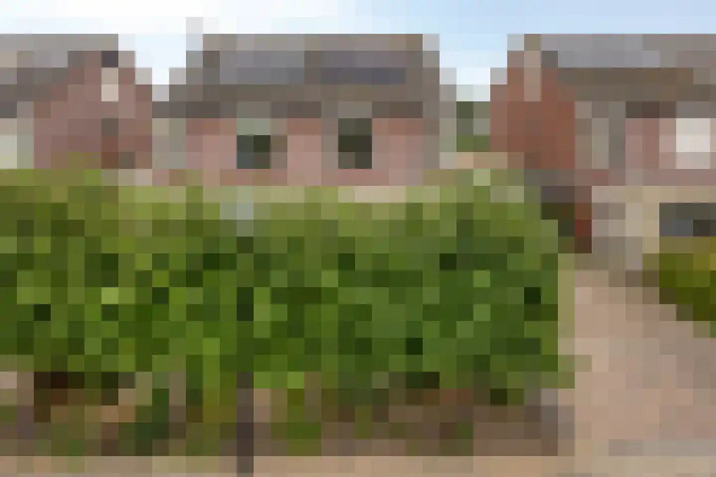 Junoplein 6 Bemmel thumbnail 5