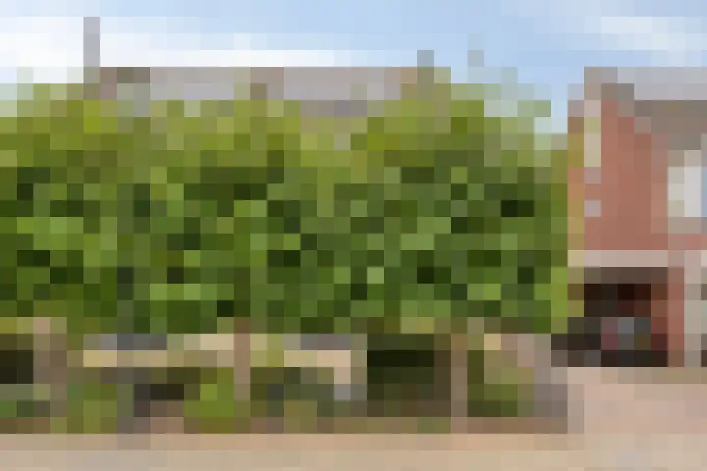 Junoplein 6 Bemmel thumbnail 7