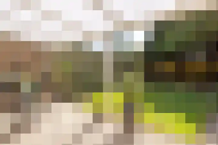 Junostraat 18 Brunssum thumbnail 20