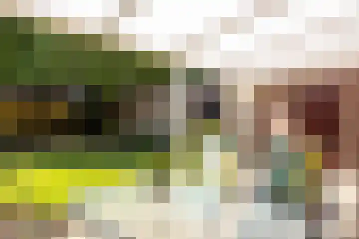 Junostraat 18 Brunssum thumbnail 21
