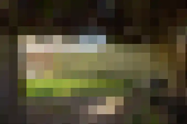 Junostraat 18 Brunssum thumbnail 25