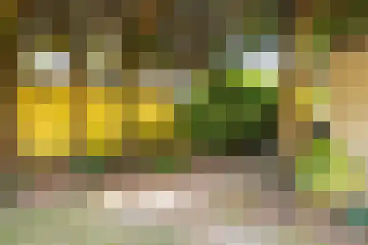 Junostraat 18 Brunssum thumbnail 26