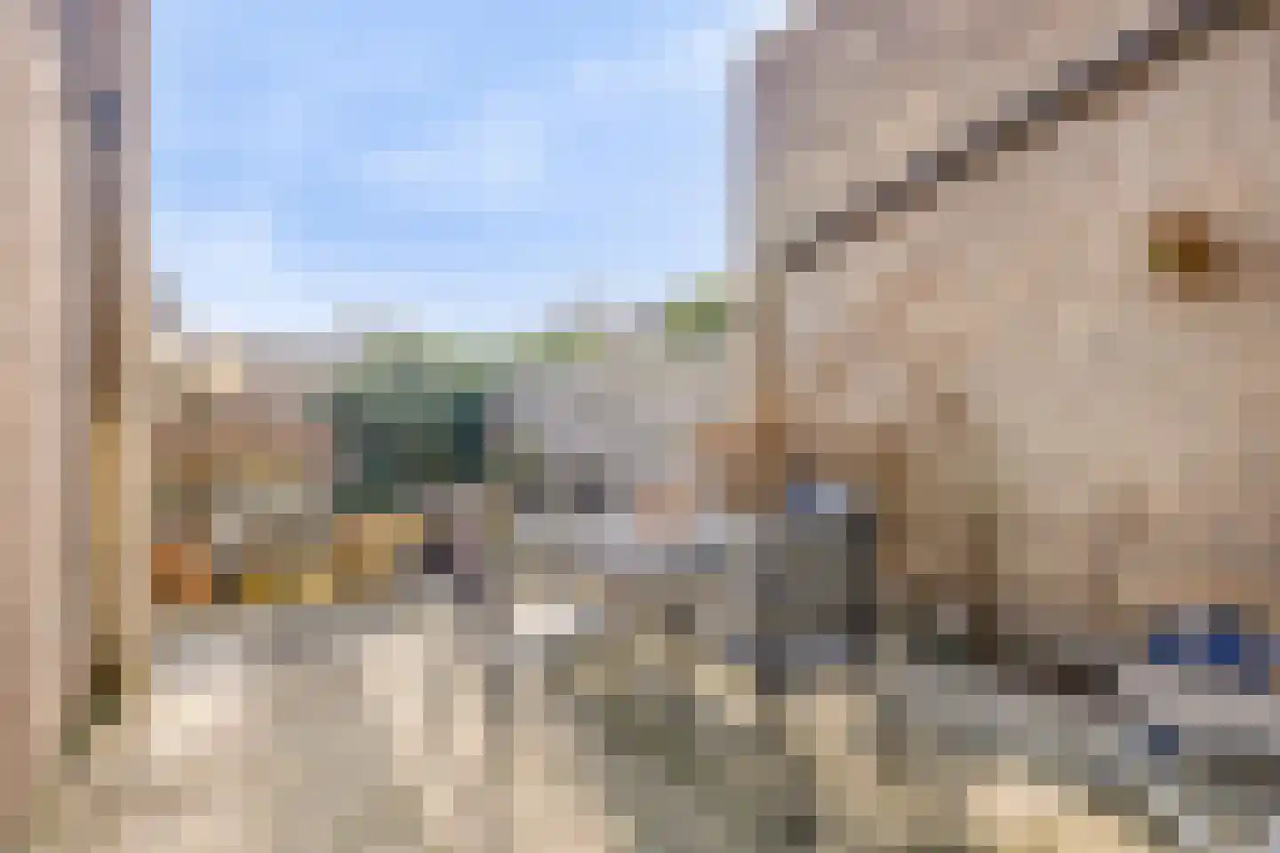 Junostraat 19 Alphen aan den Rijn thumbnail 34