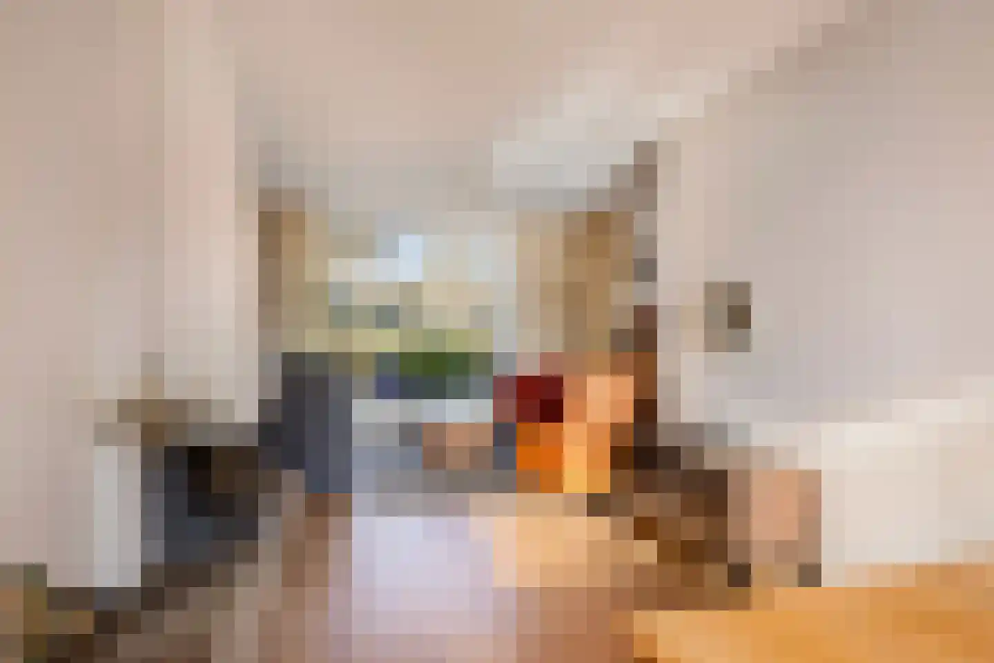 Junostraat 19 Alphen aan den Rijn thumbnail 7