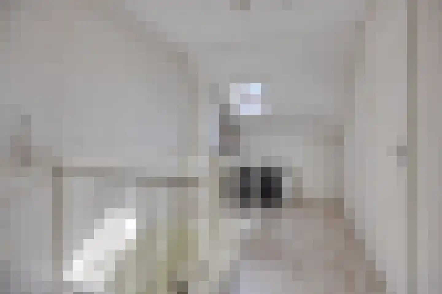Junostraat 39 Alphen aan den Rijn thumbnail 33