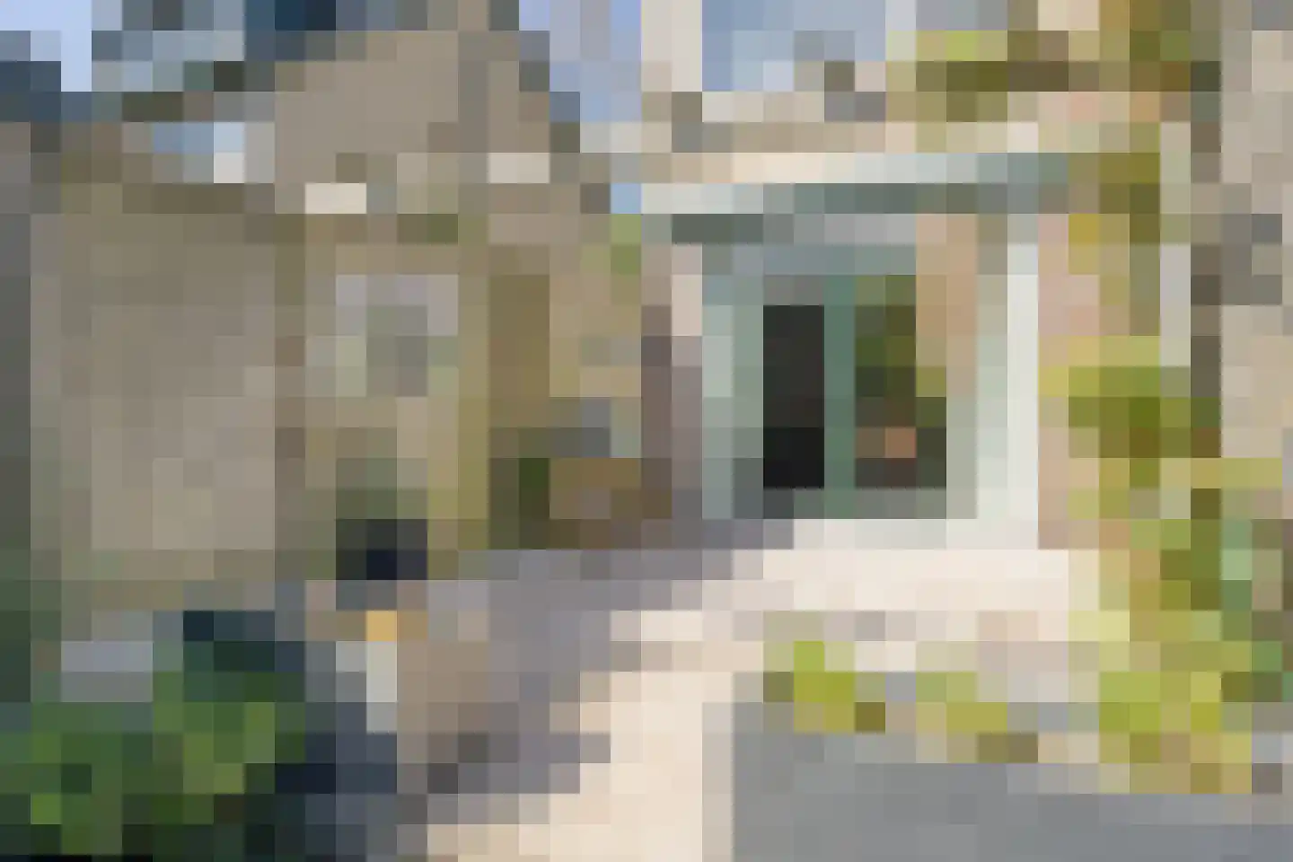 Junostraat 39 Alphen aan den Rijn thumbnail 39