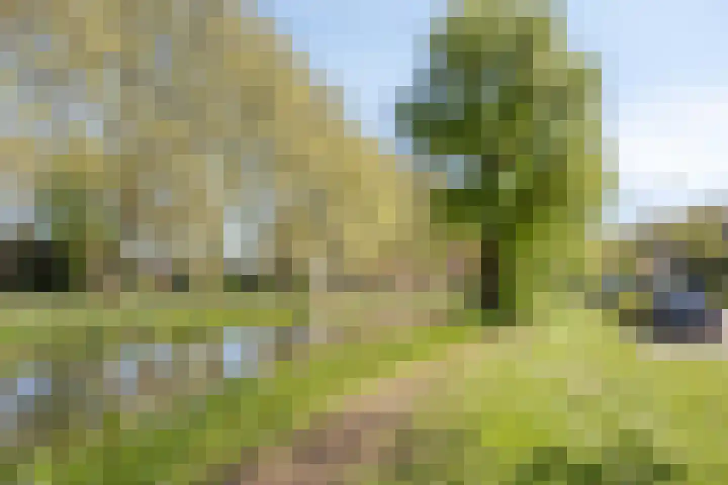 Junostraat 39 Alphen aan den Rijn thumbnail 43