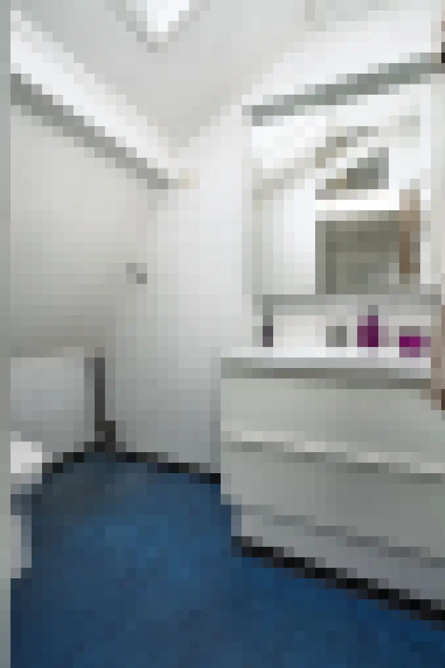 Junusstraat 4 Wageningen thumbnail 19