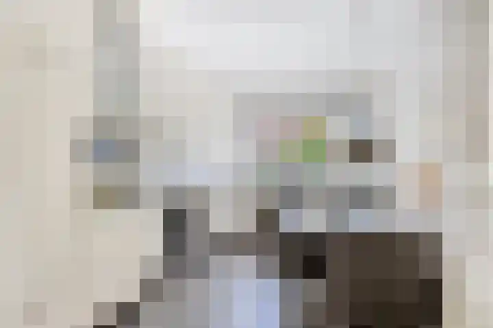 Jupiter 1 Ulft thumbnail 13