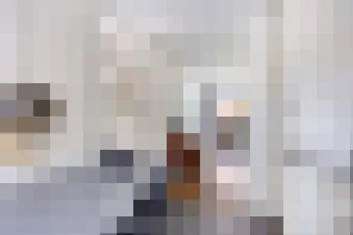 Jupiter 1 Ulft thumbnail 14