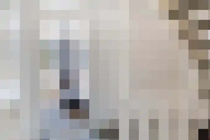 Jupiter 1 Ulft thumbnail 16