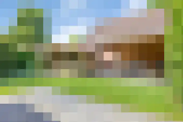 Jupiter 1 Ulft foto 3