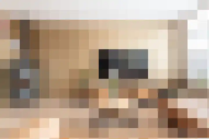 Jupiter 1 Ulft thumbnail 38