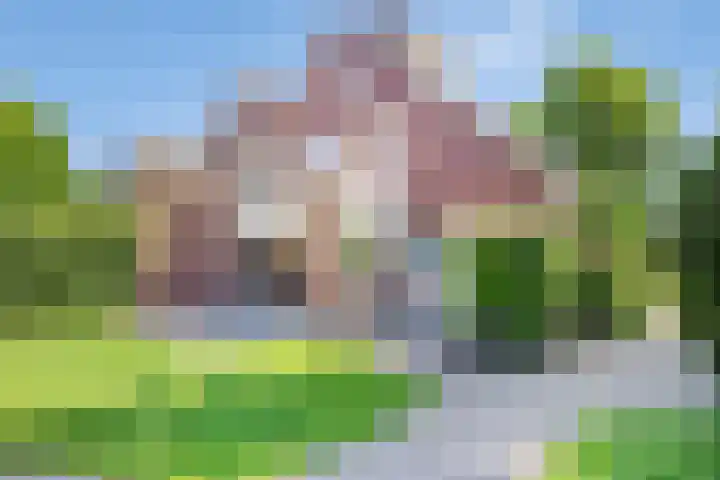 Jupiter 1 Ulft thumbnail 4