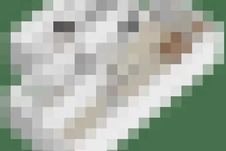 Jupiter 1 Ulft thumbnail 43