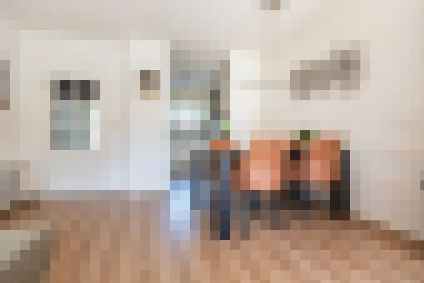 Jupiter 10 Ulft thumbnail 13