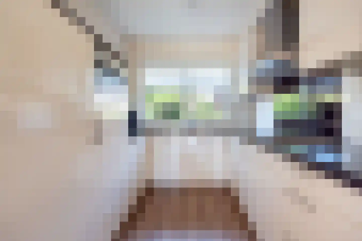 Jupiter 10 Ulft thumbnail 14