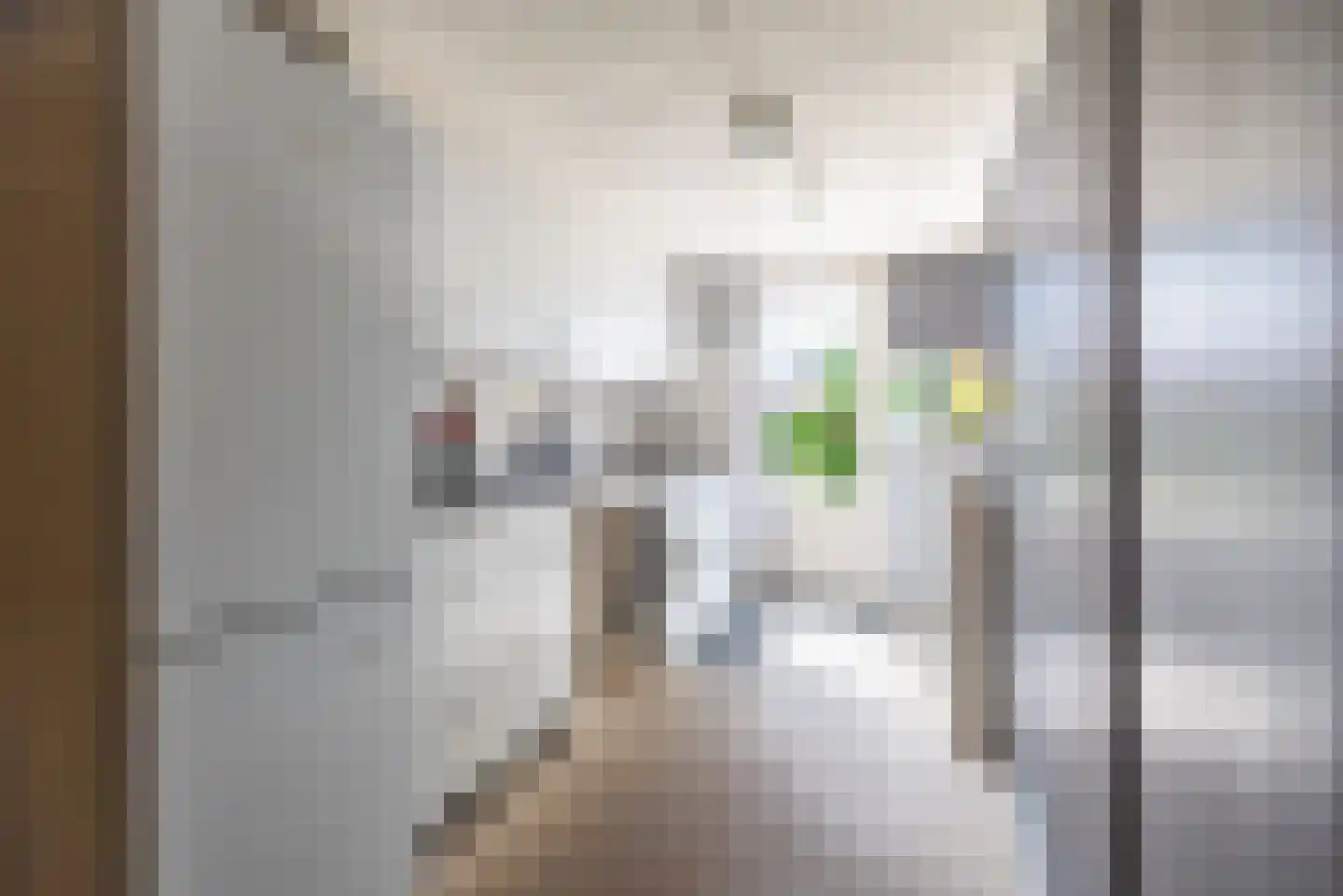 Jupiter 10 Ulft thumbnail 35