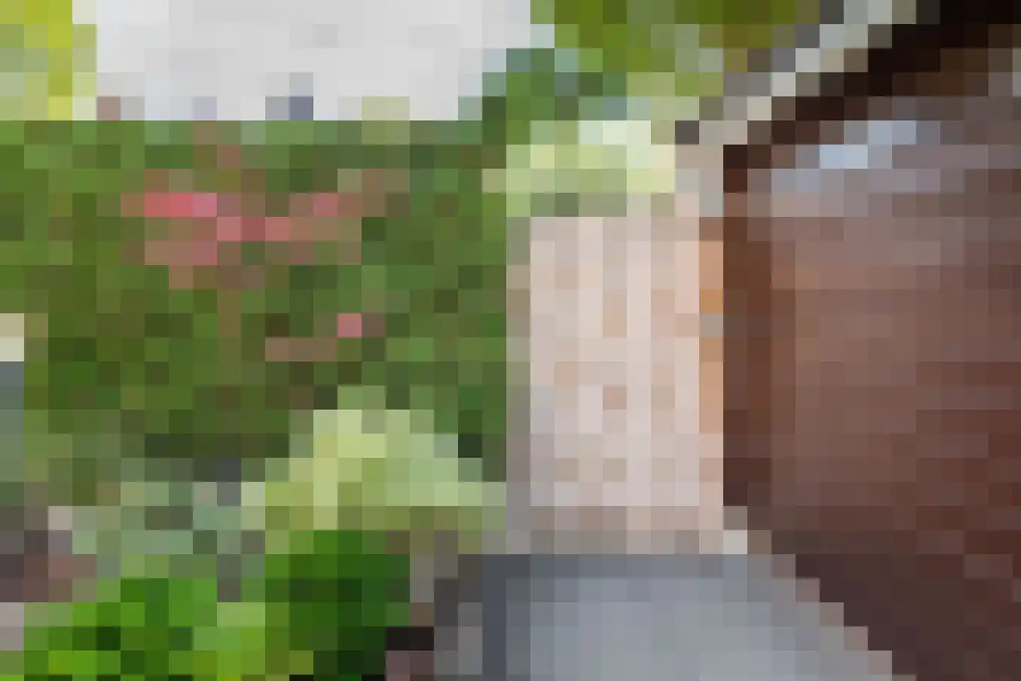 Jupiter 10 Ulft thumbnail 39