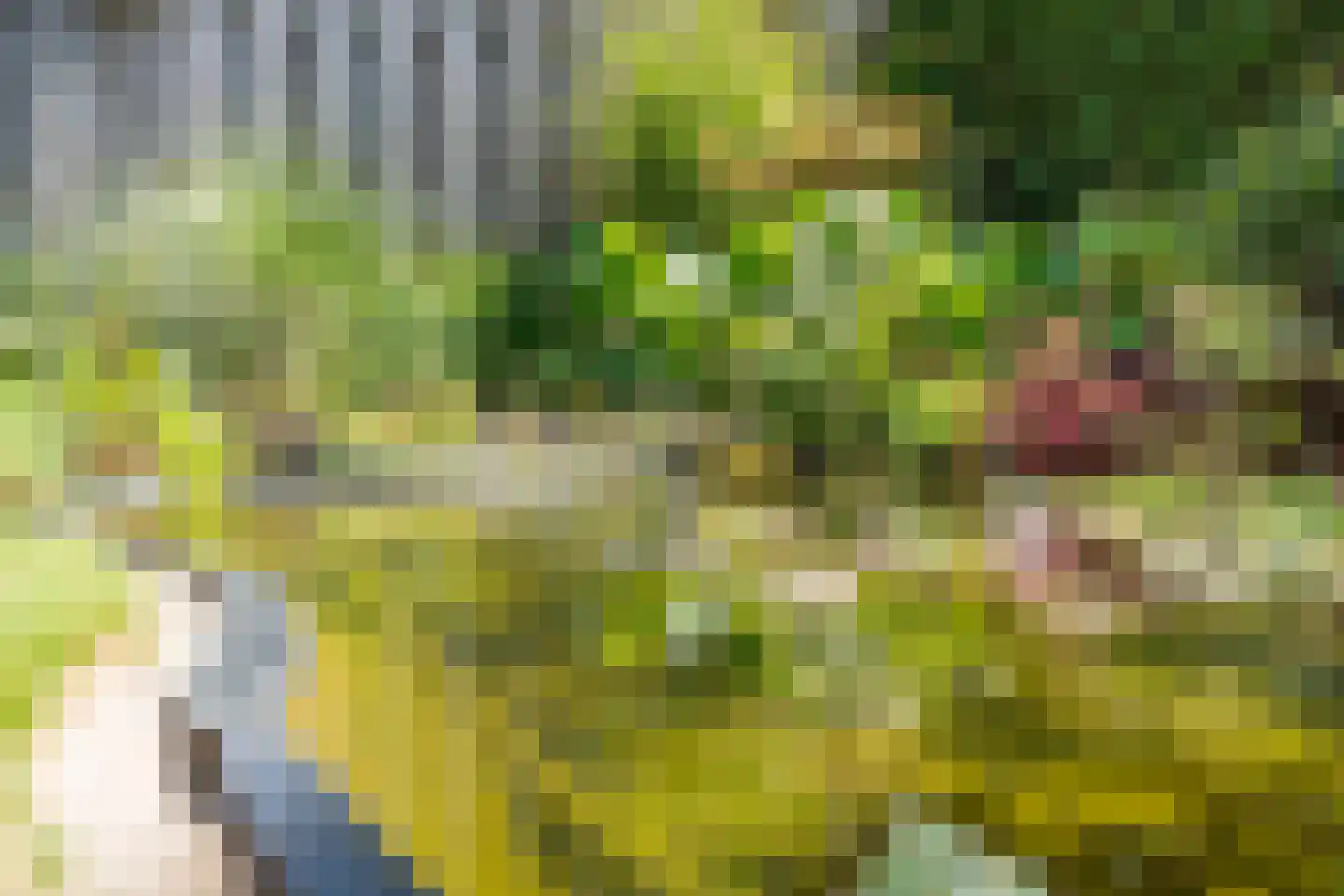 Jupiter 10 Ulft thumbnail 40