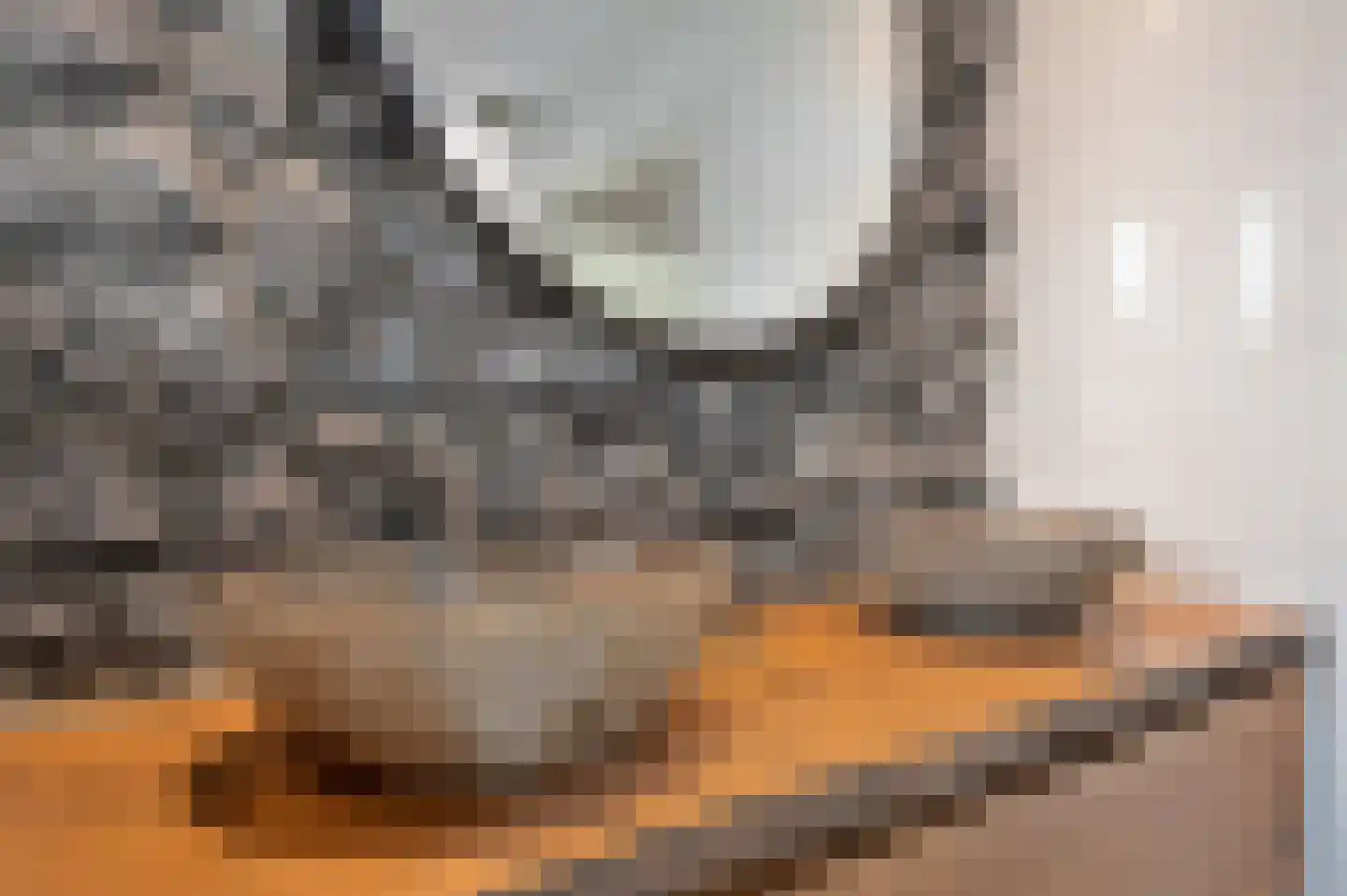 Jupiter 14 Schijndel thumbnail 25