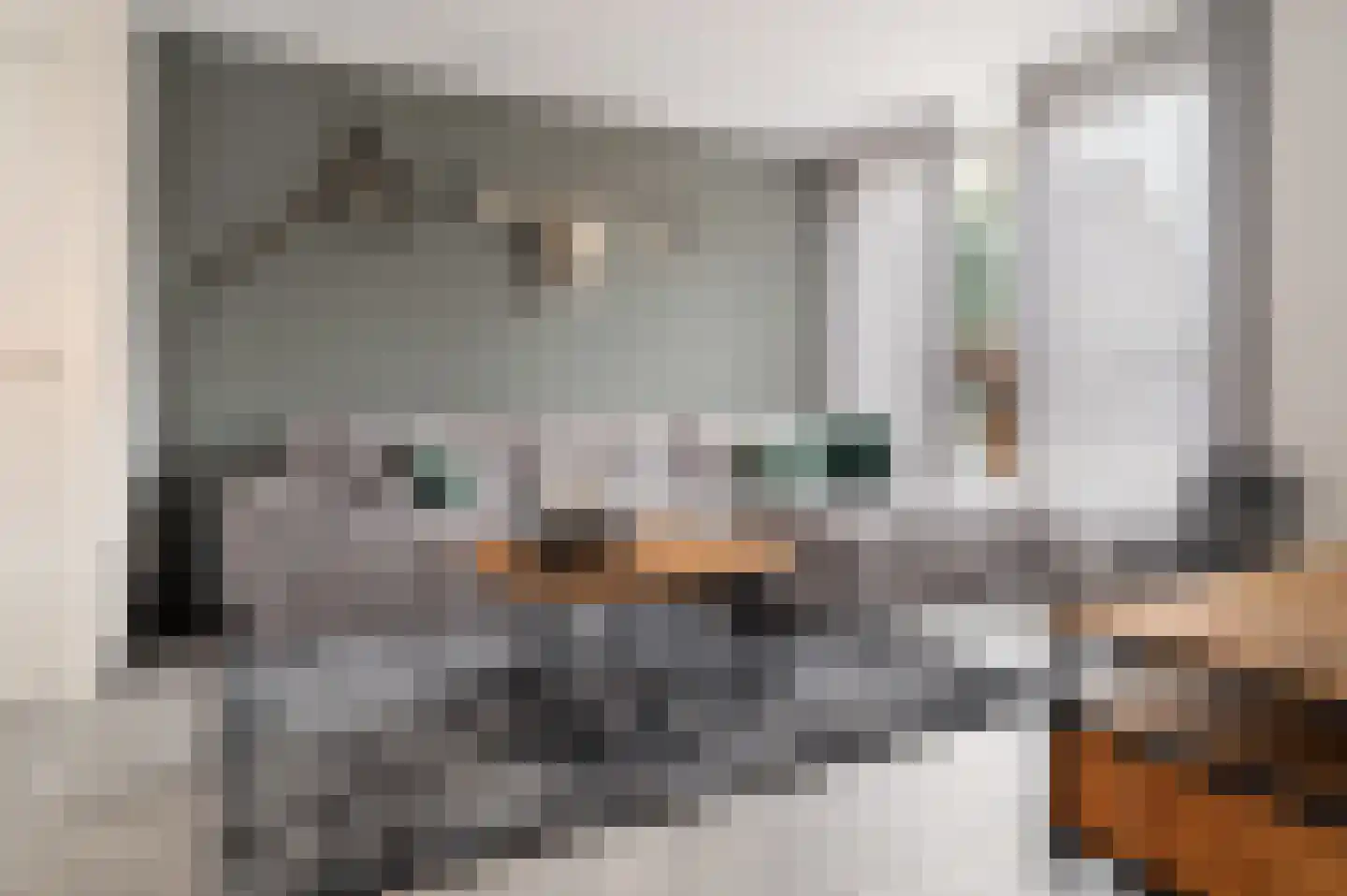 Jupiter 14 Schijndel thumbnail 7