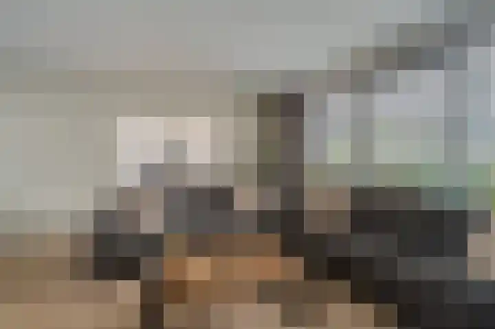 Jupiter 16 Hoogezand thumbnail 13