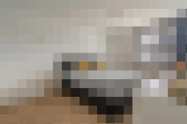 Jupiter 16 Hoogezand thumbnail 40