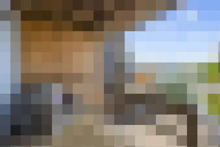 Jupiter 25 Den Helder thumbnail 10