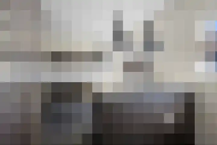 Jupiter 25 Den Helder thumbnail 23