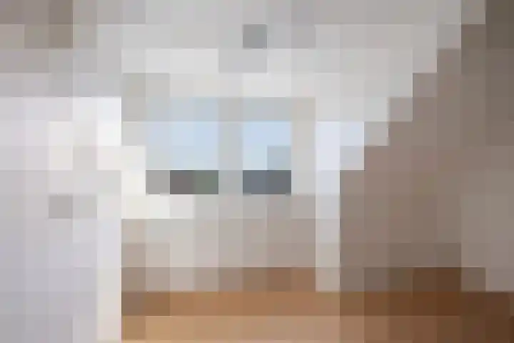 Jupiter 25 Den Helder thumbnail 54