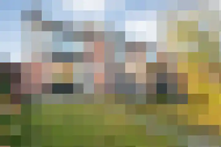 Jupiter 27 Hoogeveen thumbnail 29