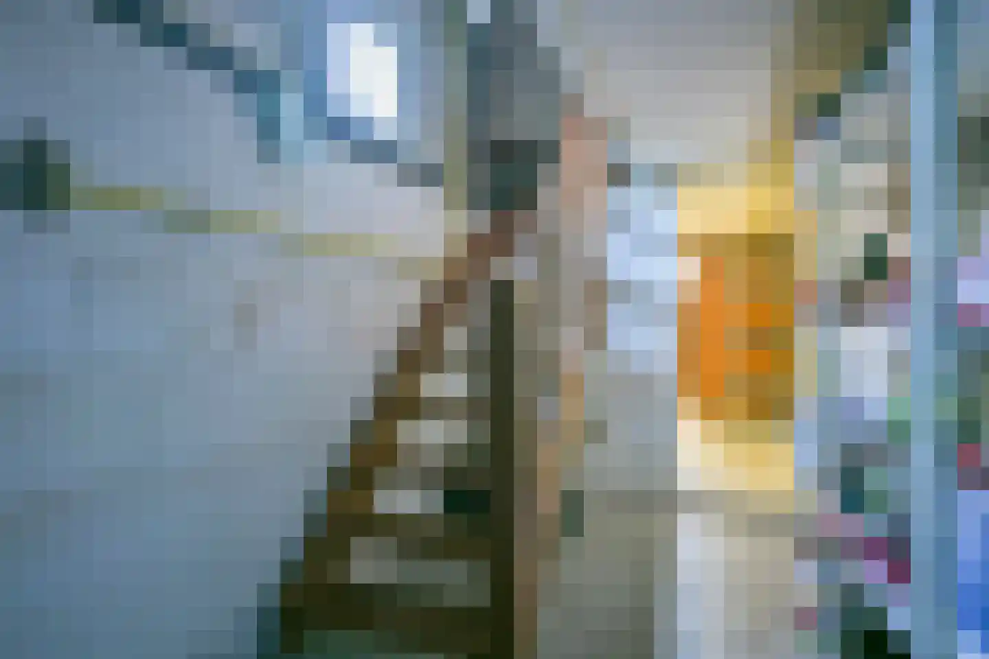 Jupiter 28 Born thumbnail 35