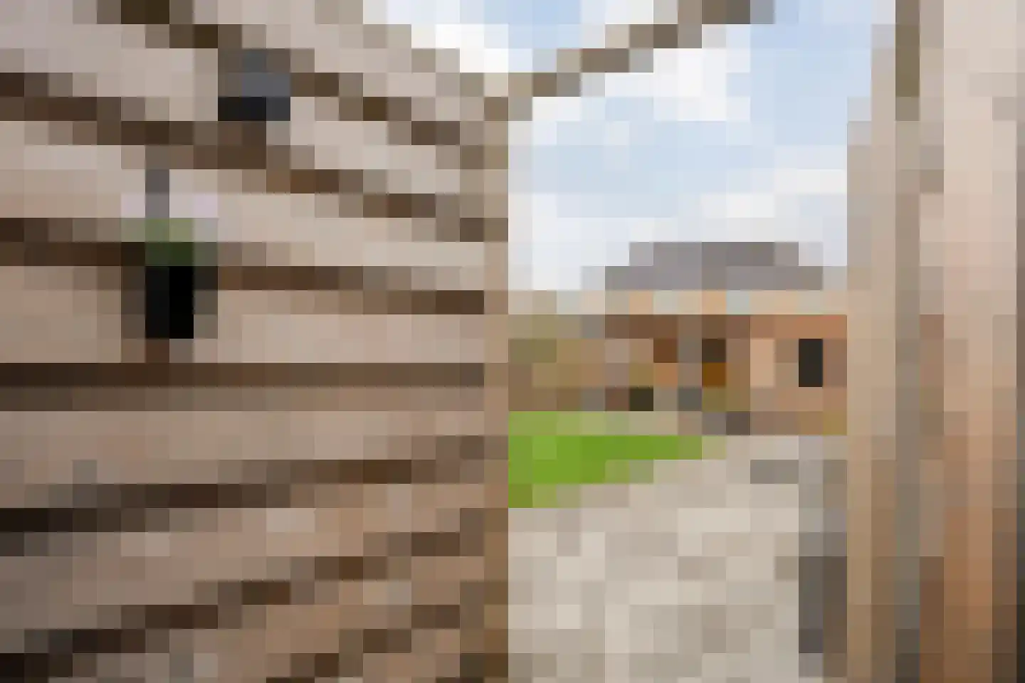 Jupiter 28 Hoogeveen thumbnail 51