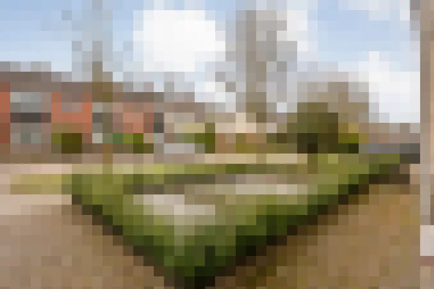 Jupiter 28 Hoogeveen thumbnail 52