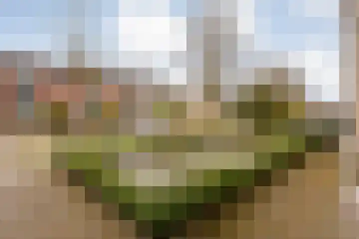 Jupiter 28 Hoogeveen thumbnail 52