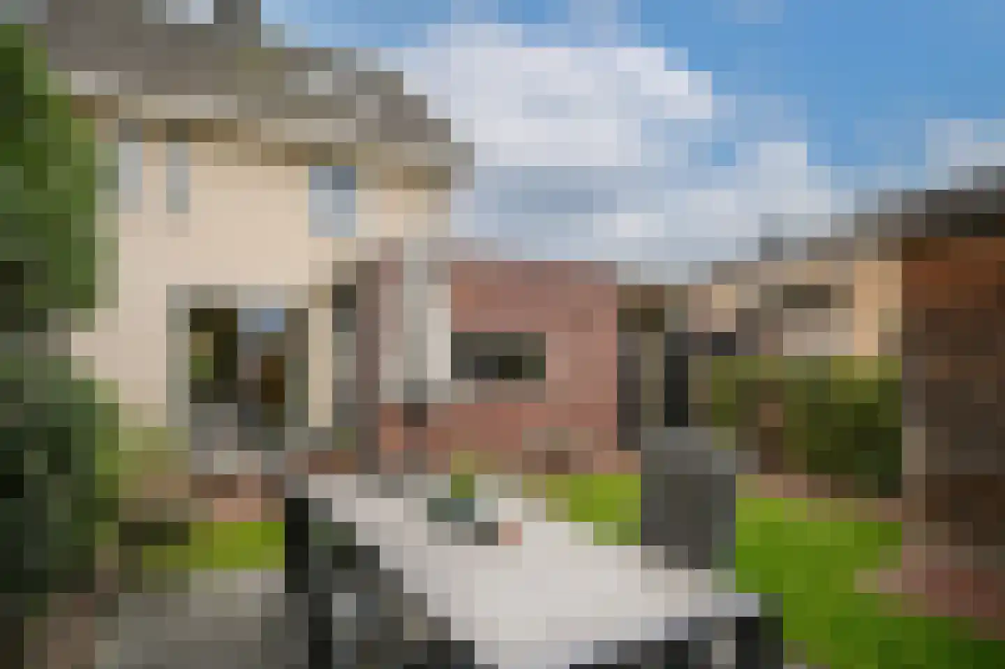 Jupiter 3 Schijndel thumbnail 36