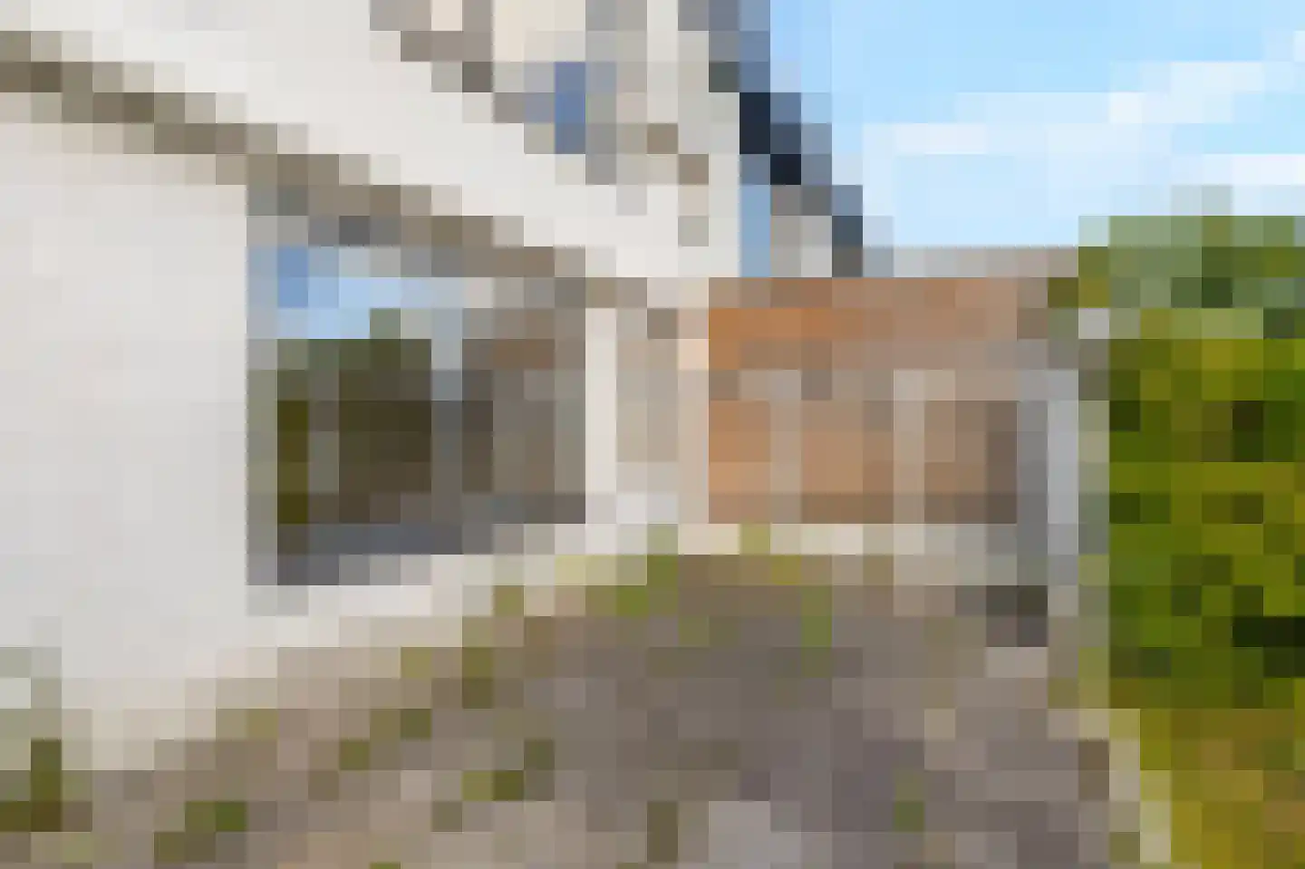 Jupiter 30 Den Helder thumbnail 32