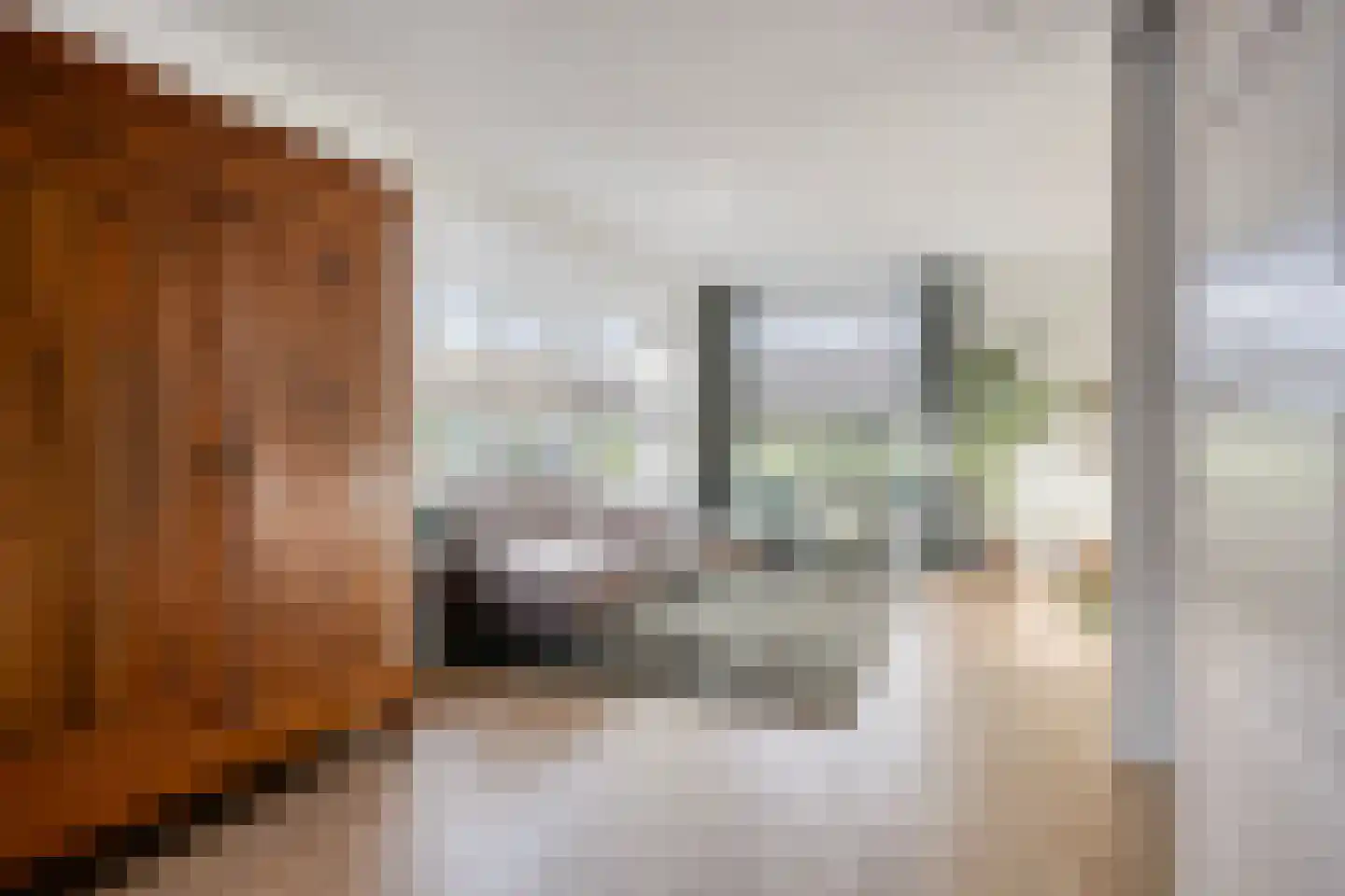 Jupiter 32 Born thumbnail 9