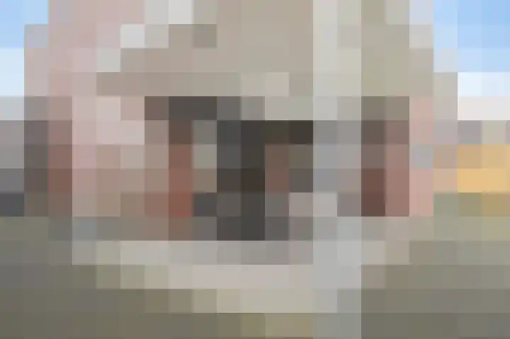 Jupiter 36 Born thumbnail 28