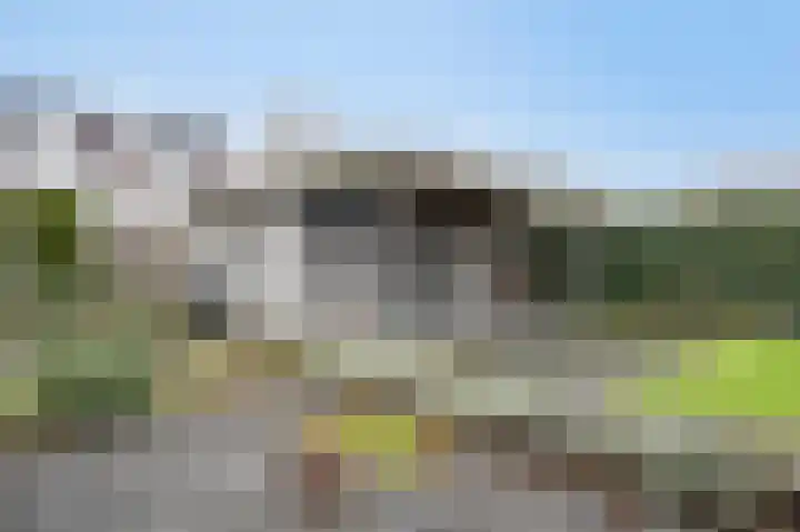 Jupiter 36 Born thumbnail 36