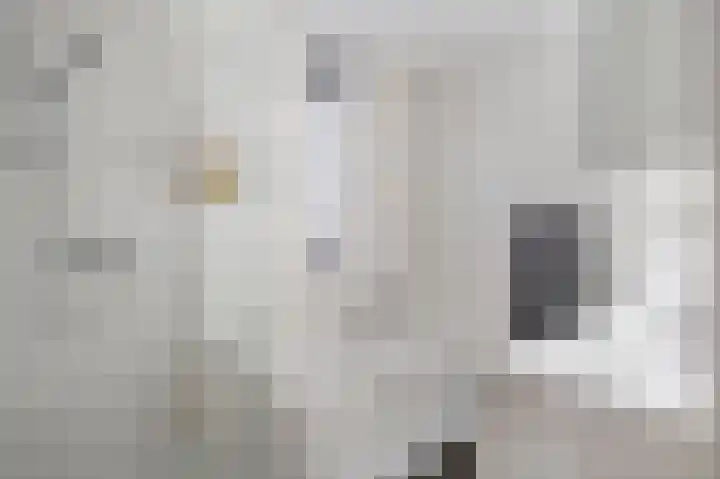 Jupiter 36 Born thumbnail 4