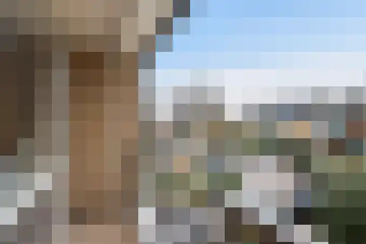 Jupiter 36 Born thumbnail 46