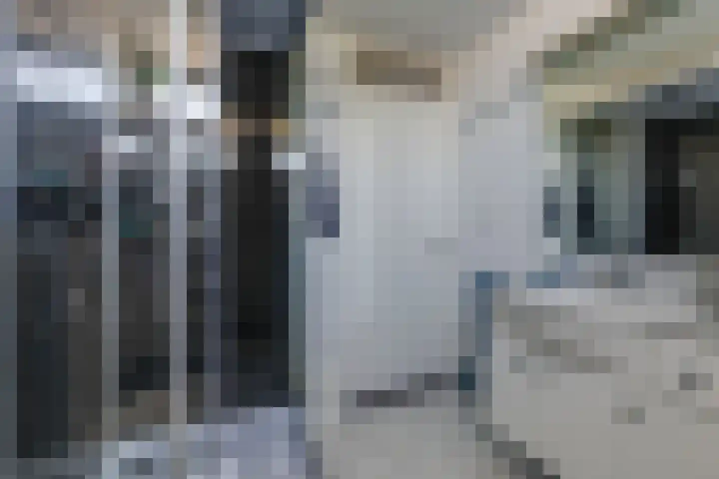 Jupiter 38 Aalten thumbnail 32