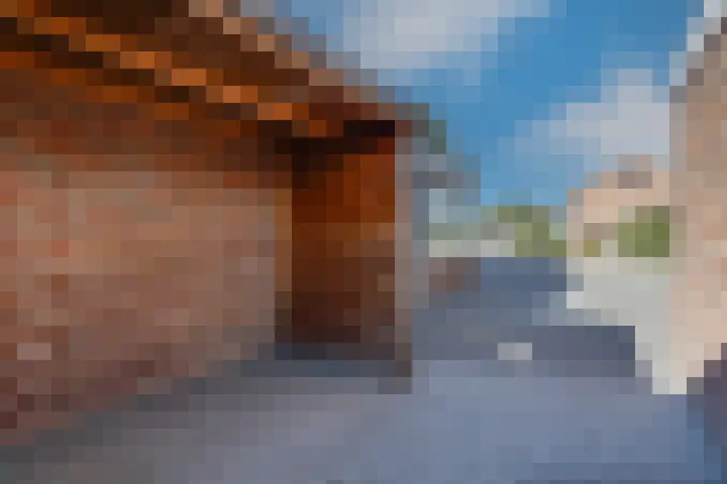 Jupiter 38 Aalten thumbnail 44